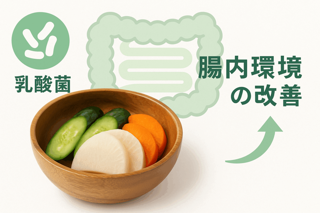 ぬか漬けが腸活をサポートすることを示すイメージ